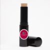 Constant Companion Concealer - Medium Tone